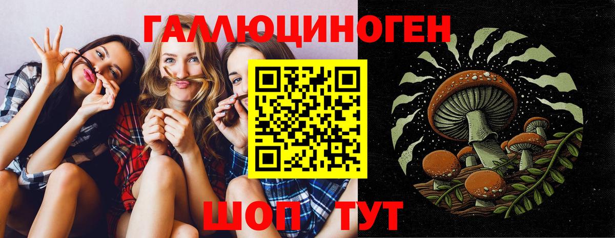 Псилоцибиновые грибы MAGIC MUSHROOMS  Псилоцибиновые грибы прущие грибы  Реутов  Вход с VPN 